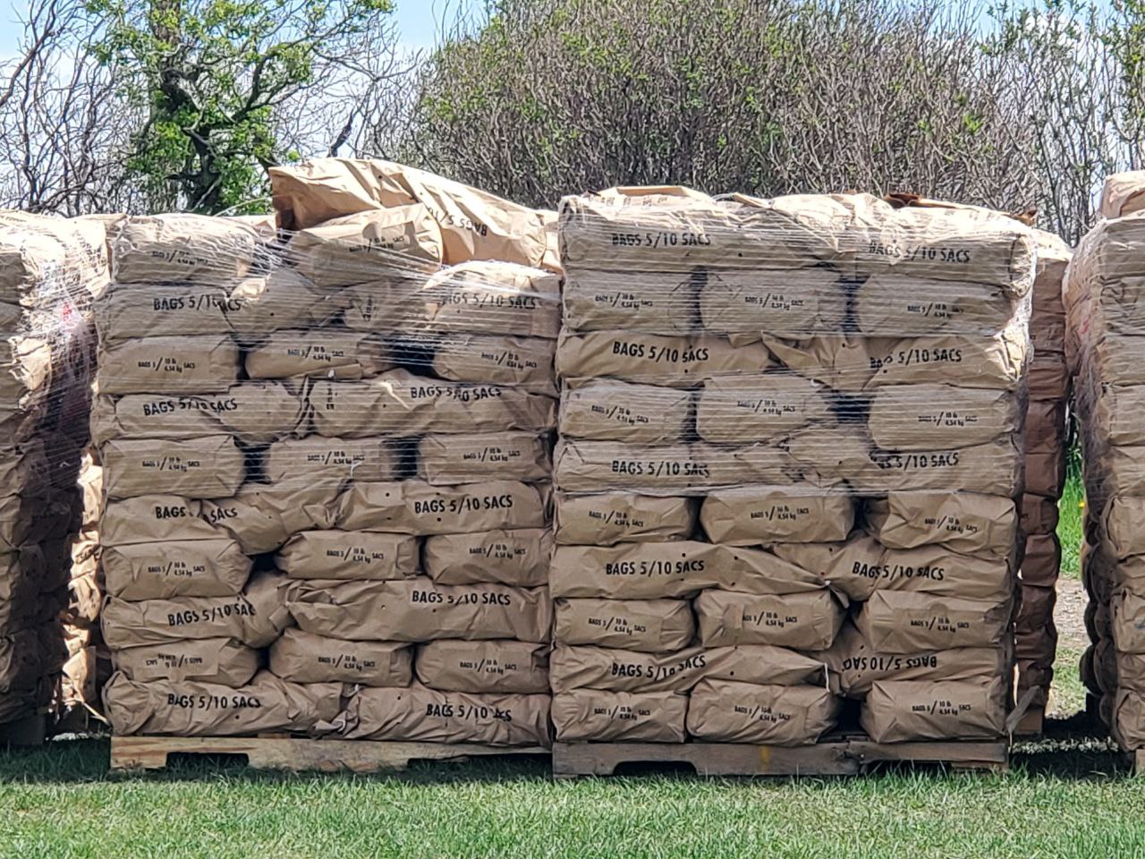 Free potatoes in Calgary